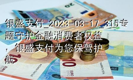 银盛支付_2023-03-17_315专题守护金融消费者权益，银盛支付为您保驾护航