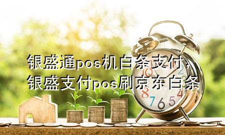 银盛通pos机白条支付，银盛支付pos刷京东白条