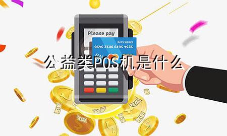 公益类POS机是什么