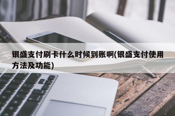 银盛通刷卡到账时间 银盛支付刷卡什么时候到账啊(银盛支付使用方法及功能)
