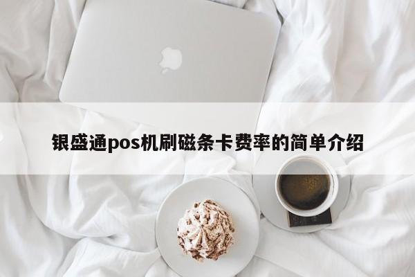 银盛通pos机安全吗_银盛通大pos机费率_银盛通异地刷卡费率