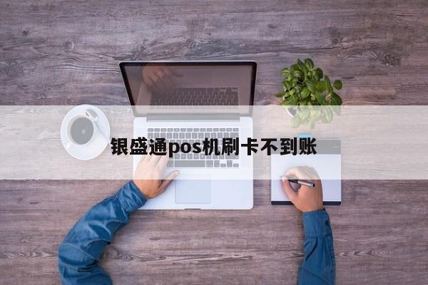 银盛通pos机刷卡不到账 第1张