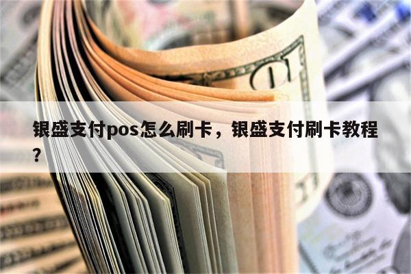 银盛通小机刷卡教程 银盛支付pos怎么刷卡，银盛支付刷卡教程？