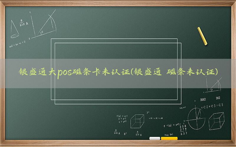 银盛通大pos磁条卡未认证(银盛通 磁条未认证)