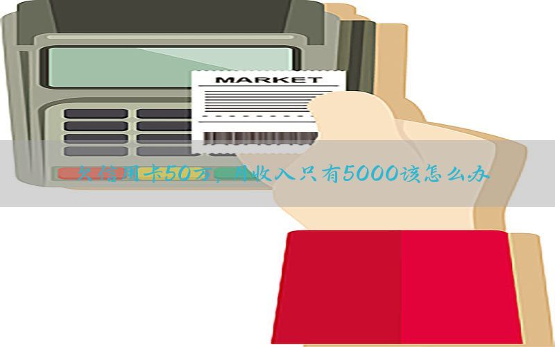 欠信用卡50万，月收入只有5000该怎么办