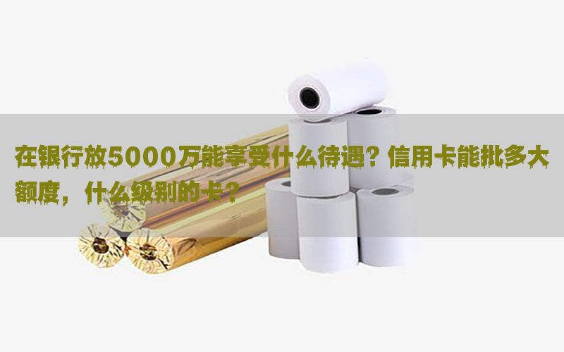 在银行放5000万能享受什么待遇？信用卡能批多大额度，什么级别的卡？